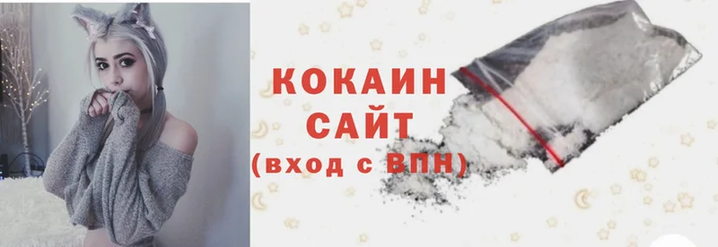 купить закладку  omg ссылка  Cocaine FishScale  Полярные Зори 